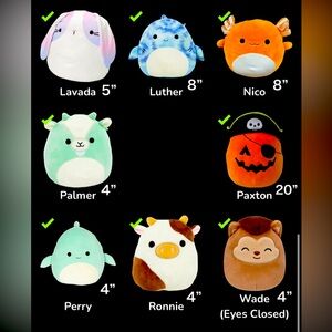 Various Squishmallow all sizes
